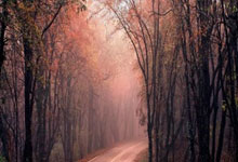 谷歌将向Anthropic供应最高100万枚专用AI芯片 交易额或达数百亿美元