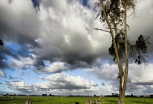 OpenAI收购AI初创公司Software Applications Inc 由苹果(AAPL.US)前员工创立